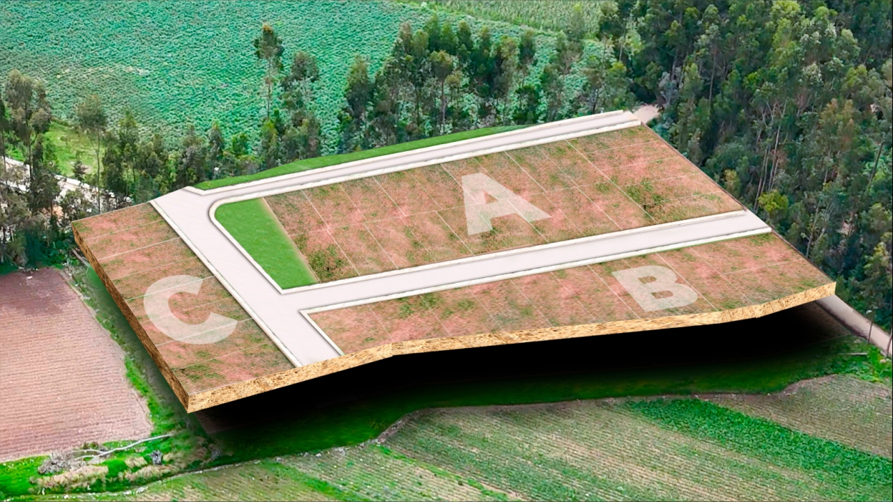 La Floresta 2